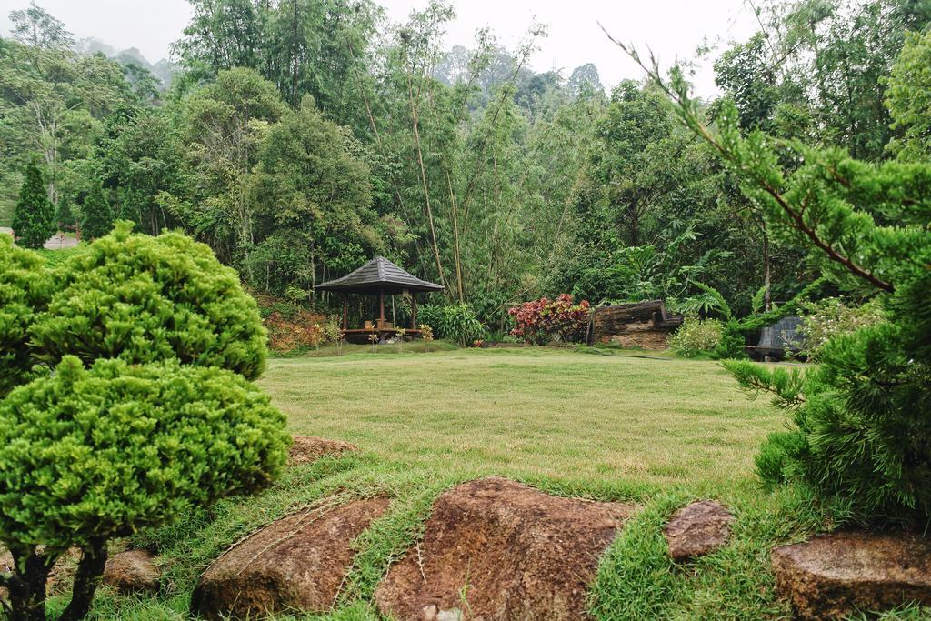 Harmony Valley Retreat Букіттінгі Екстер'єр фото